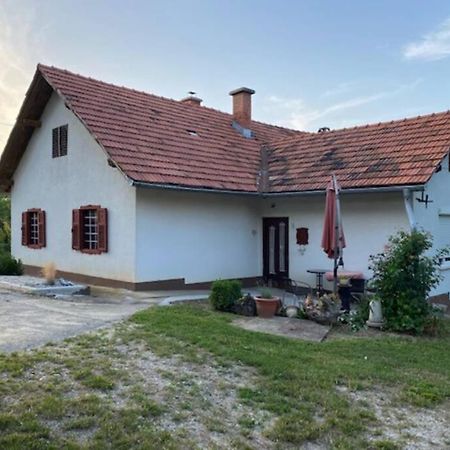 Вілла Zivahna Hisa Sveti Jurij ob Scavnici Екстер'єр фото